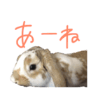 わかたけるパート2（個別スタンプ：18）