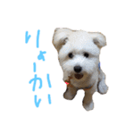 わかたけるパート2（個別スタンプ：20）