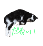 わかたけるパート2（個別スタンプ：21）