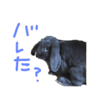 わかたけるパート2（個別スタンプ：23）