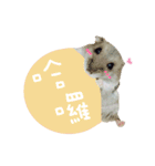 Kuma happy（個別スタンプ：6）