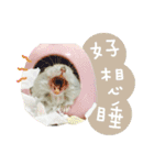 Kuma happy（個別スタンプ：12）