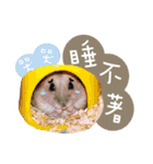 Kuma happy（個別スタンプ：13）