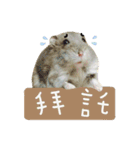 Kuma happy（個別スタンプ：18）