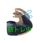 かつりさ（個別スタンプ：6）