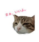 ほたしゃんスタンプ（個別スタンプ：5）