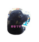 mamenosuke2（個別スタンプ：6）
