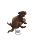 ケイシー犬（個別スタンプ：11）