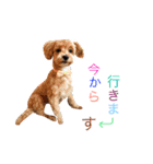 ケイシー犬（個別スタンプ：15）