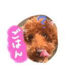 ころぽてスタンプ（個別スタンプ：4）