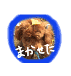 ころぽてスタンプ（個別スタンプ：13）