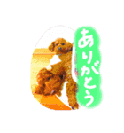 ころぽてスタンプ（個別スタンプ：16）