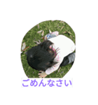 papahe（個別スタンプ：8）