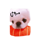 ペキニーズのコンちゃん（個別スタンプ：8）