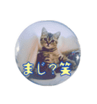 HAYAKAWA 2（個別スタンプ：13）