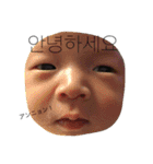 ohkaandalen（個別スタンプ：9）