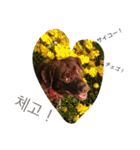 ohkaandalen（個別スタンプ：16）