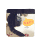 naruto ＆ kiki（個別スタンプ：9）