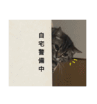 naruto ＆ kiki（個別スタンプ：13）