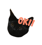naruto ＆ kiki（個別スタンプ：17）