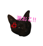 naruto ＆ kiki（個別スタンプ：19）