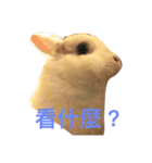 coolcool（個別スタンプ：2）