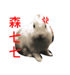 coolcool（個別スタンプ：3）