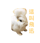 coolcool（個別スタンプ：4）
