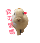 coolcool（個別スタンプ：5）