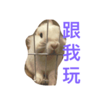 coolcool（個別スタンプ：6）