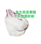 coolcool（個別スタンプ：8）