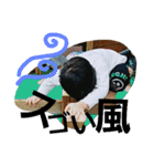 SPRIT1（個別スタンプ：9）
