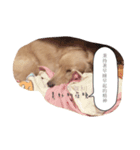 Dachshund happy dance Puppy（個別スタンプ：2）