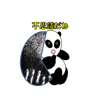 共感パンダ（個別スタンプ：13）