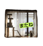 あんちゃんスタンプでふ（個別スタンプ：8）