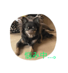 GRAN stamp1（個別スタンプ：1）