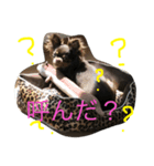 GRAN stamp1（個別スタンプ：3）