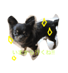 GRAN stamp1（個別スタンプ：5）