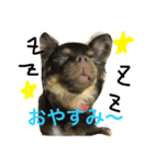 GRAN stamp1（個別スタンプ：6）