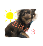 GRAN stamp1（個別スタンプ：7）