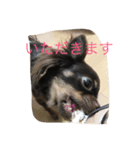 GRAN stamp1（個別スタンプ：8）