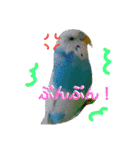 トイプードル＆インコ（個別スタンプ：4）
