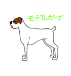 ボクサー犬 レオ（個別スタンプ：2）