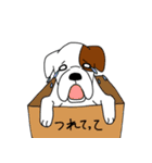 ボクサー犬 レオ（個別スタンプ：3）