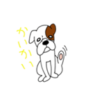 ボクサー犬 レオ（個別スタンプ：5）