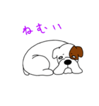 ボクサー犬 レオ（個別スタンプ：9）