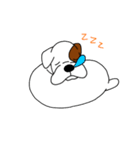 ボクサー犬 レオ（個別スタンプ：11）