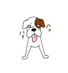 ボクサー犬 レオ（個別スタンプ：12）