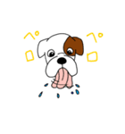 ボクサー犬 レオ（個別スタンプ：14）