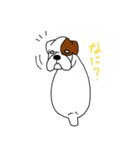 ボクサー犬 レオ（個別スタンプ：16）